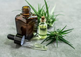 Jaki olejek CBD wybrać dla zwierząt?